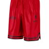 Uomo nike Shorts | Chicago Bulls Courtside - Red/Black